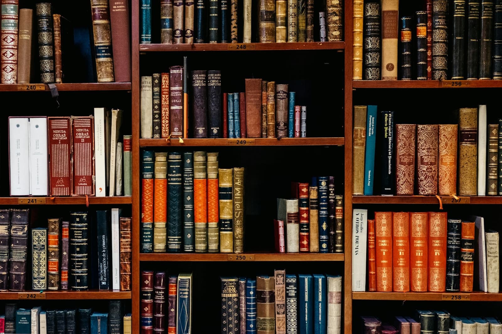 Shelves of bound books in a library
